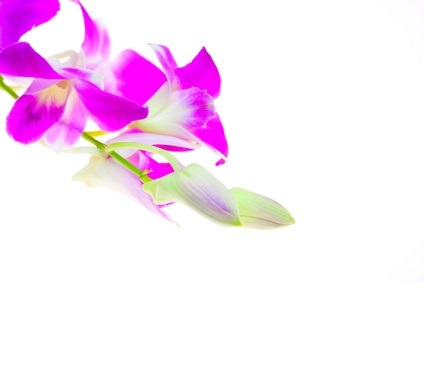 Image de soi/Marketing de soi